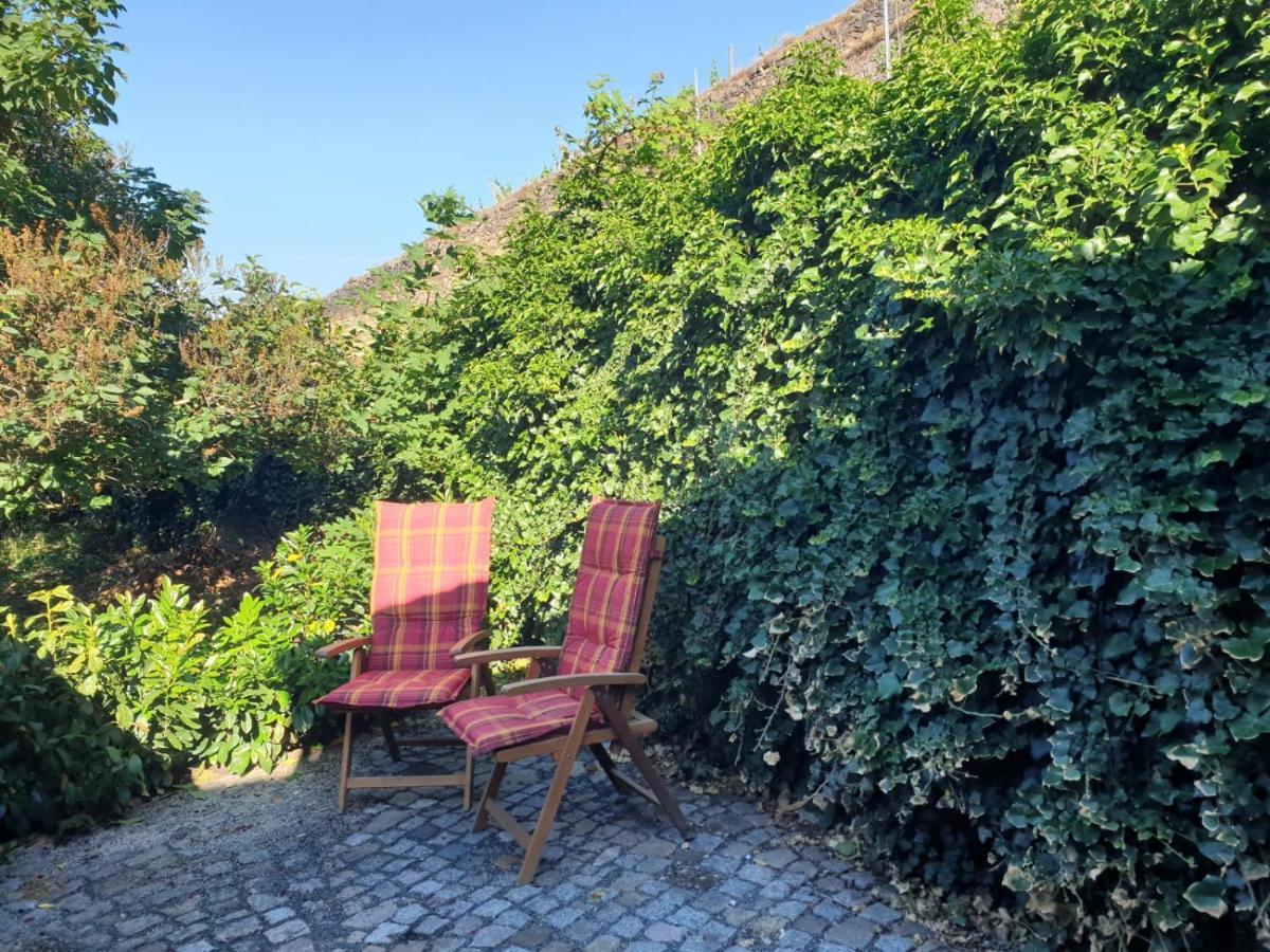 Unterkunft Am Weinberg Nunchritz 外观 照片